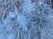 Top Otilia Top Otilia