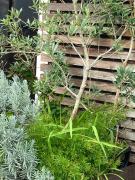 Top Santa Maria da Feira