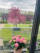 Spacious and modern apartment