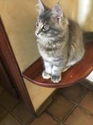 Top Le Viviers-du-Lac