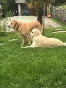 Top Le Viviers-du-Lac