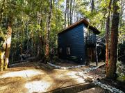 Bosque nativo a 10 min Termas Geométricas y Playa