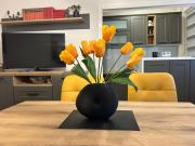 Hram View Apartment, Valjevo Center