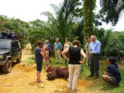 Top Bukit Lawang Top Bukit Lawang