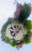 Top Sauraha