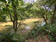 Hostel Guacimo Workaway and Workpackers