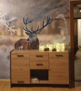 LECHUFER, 80m2, Haushälfte mit privatem Eingang, Kaminofen, Terrasse, Garten