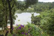 Top Wayanad