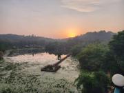 Top Wayanad