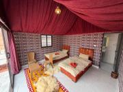 Bedouin Nature Camp