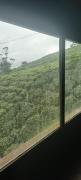 Top Ooty