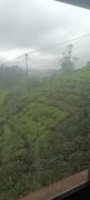 Top Ooty