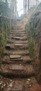 Top Ooty