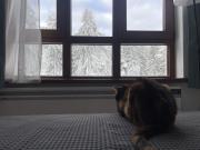 Studios and Apartments - Semiramida Gardens