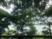 Top Coron