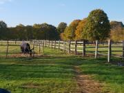 Top Châteauneuf-sur-Sarthe