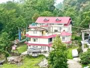 Top Pedong