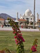 Elegant Apartments & Aquapark - B&B- FREE WI-FI-Sharm El Sheikh