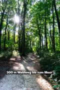 Ferienhaus Specht in Zinnowitz, Usedom