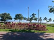 Top Santos