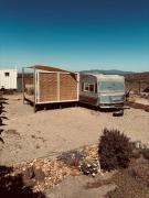 Top Tongoy Top Tongoy