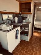 Top Tongoy Top Tongoy