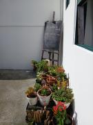 aconchegante casa na praia do Campeche