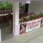 Hotel evergreen lodge