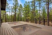Top Pinetop-Lakeside