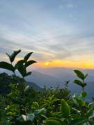 Peradeniya View Point Hotel