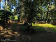 Top Madikeri
