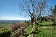 Top Assisi