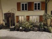 18th Century Character Cottage - Hiking Groups, Families