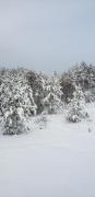 Top Saint-Alexis-des-Monts