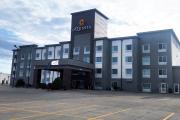 Top Minot