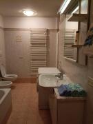 Appartamento vintage mountain premium