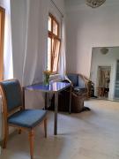 Artist LOFT in backyard shed