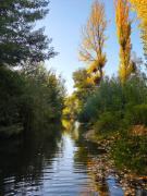 Tiny House Al lado del río