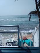 Why Not Guest house - Hikkaduwa