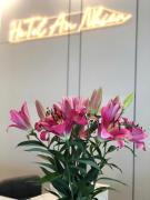 An Nhiên Hotel Măng Đen