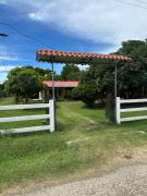 Top Nicoya