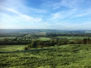 Top Ampleforth