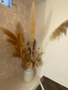 La source, maison de ville vieux Périgueux