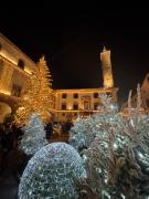 Antica Residenza del Corso Viterbo appartamento Vittorio Emanuele - centro storico