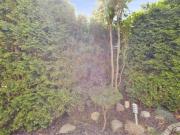 Dom & House - Apartament Orłowskie Molo przy plaży z widokiem na morze