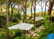 Dimora mediterranea - Sea front villa among pines