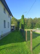 Top Mieroszyno Top Mieroszyno