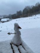 Top Solina Top Solina