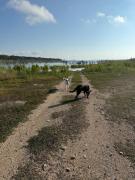 Top Canyon Lake