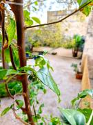 Top Argilliers Top Argilliers